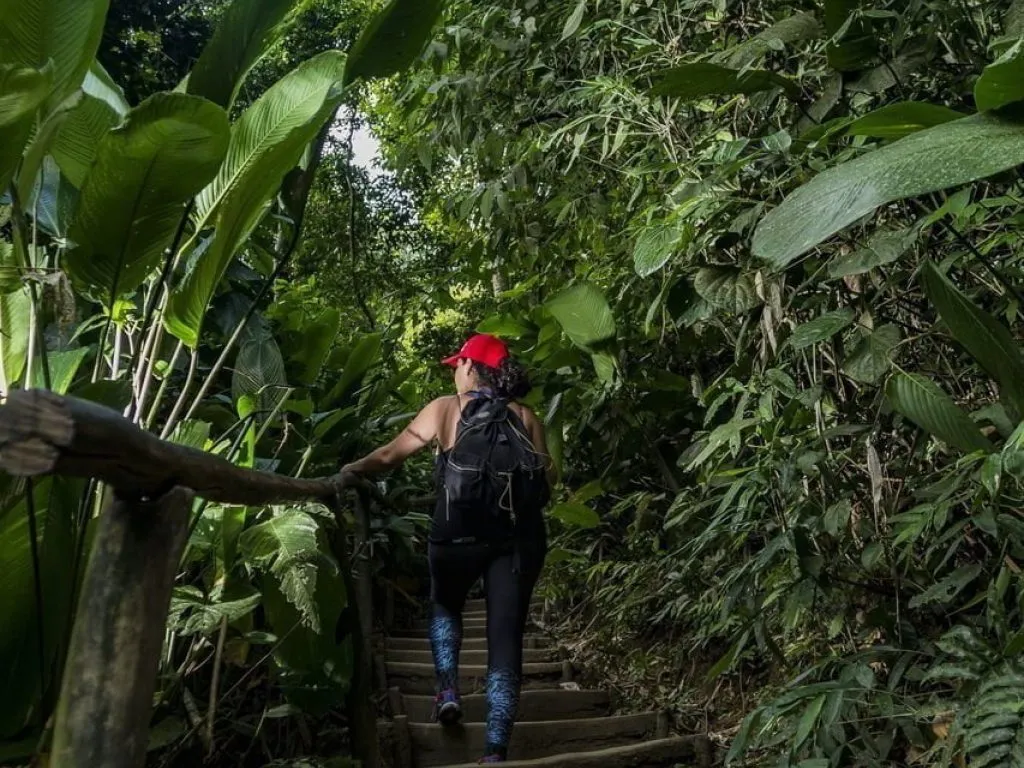 Parque estadual